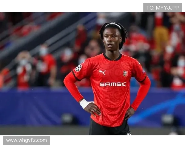 卡马文加比赛阅读