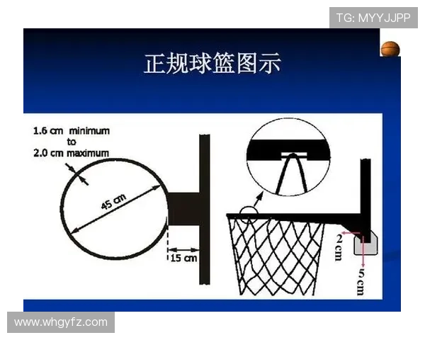 篮球规则详解：圆柱体原则如何界定合法防守与犯规